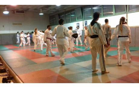 reprise des entraînements